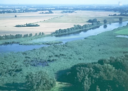 NSG "Alte Elbe zwischen Kannenberg und Berge"