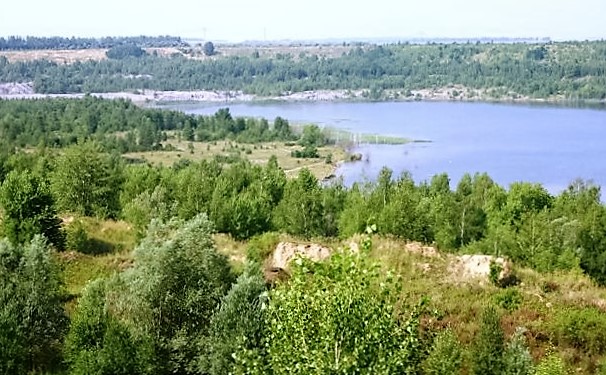 NSG "Bergbaufolgelandschaft Kayna-Süd"