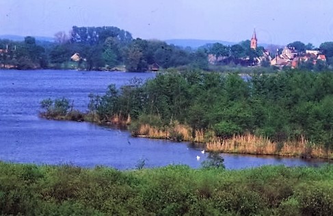 Schollener See