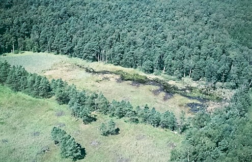 Jaevenitzer Moor