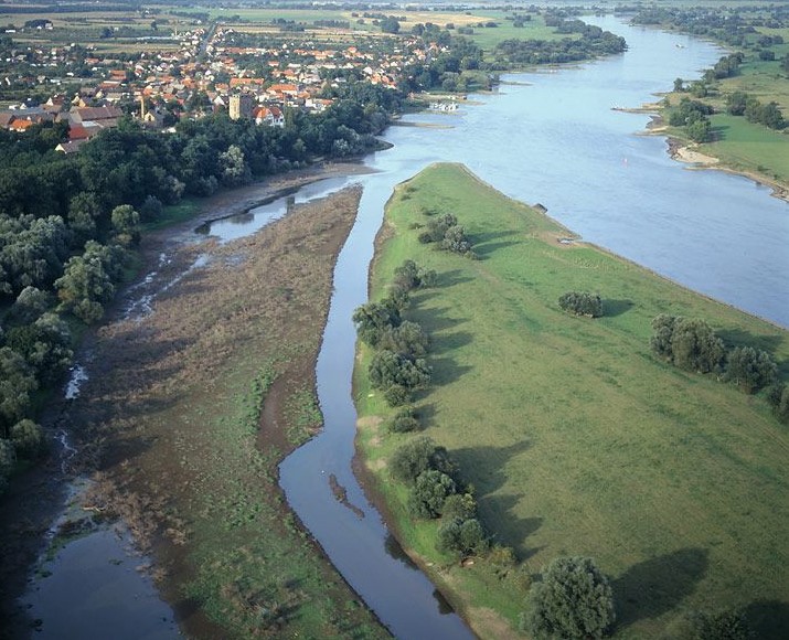 Rogätzer Hang - Ohremündung