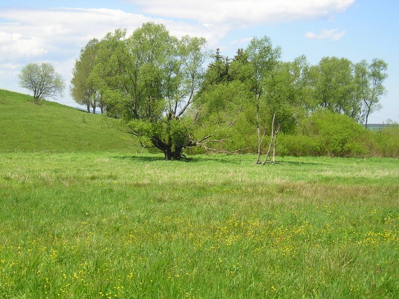 Hasselniederung
