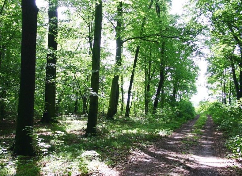 NSG "Rahtsbruch"