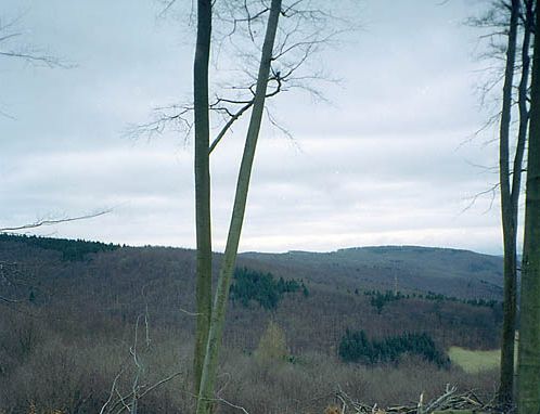 NSG "Pferdekopf"