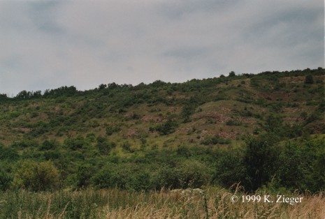 NSG "Hasenwinkel"