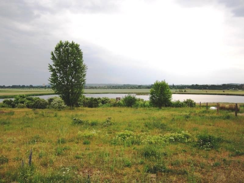 NSG "Salziger See"