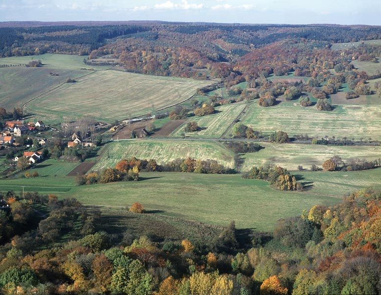 NSG "Gipskarstlandschaft Pölsfeld"