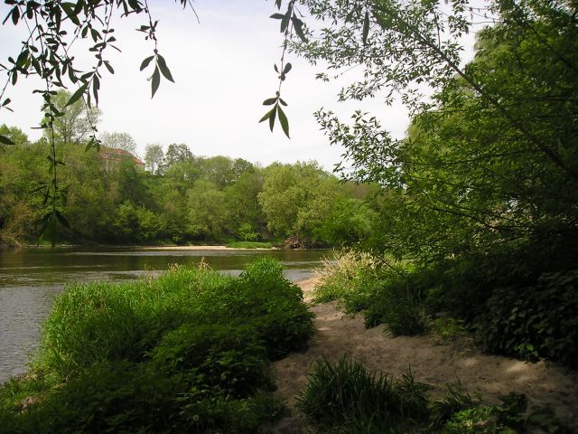 NSG "Forstwerder"