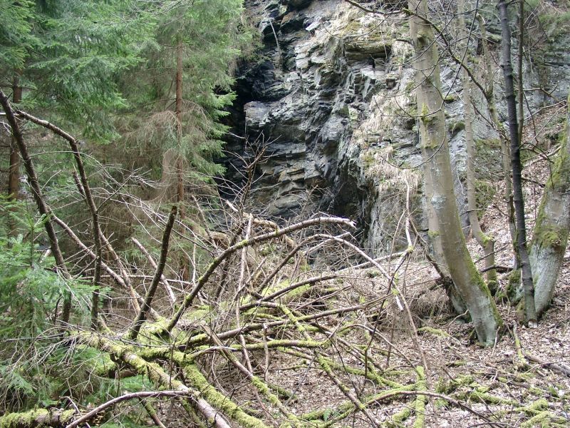 NSG "Schieferberg"