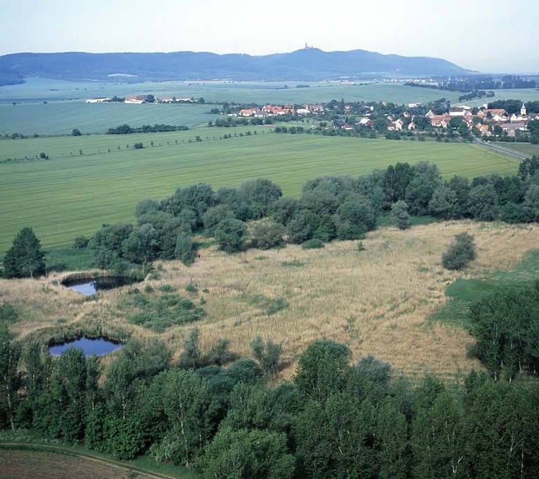 NSG "Hackpfüffler See"