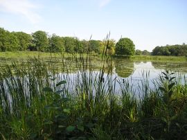 Naturschutzgebiet "Saalberghau"