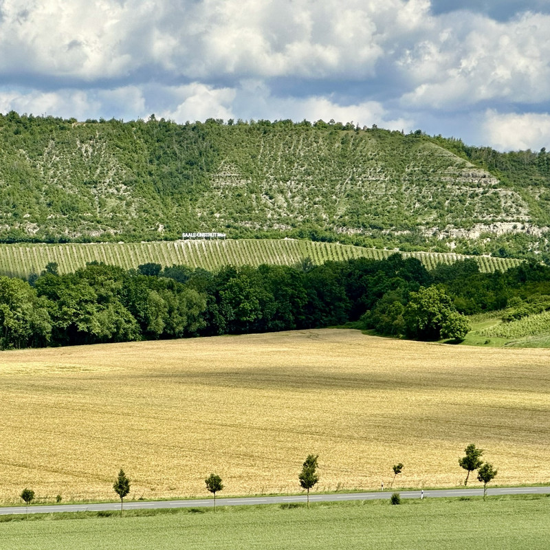 Überblick über die Weinberge mit Schild Saale-Unstrut