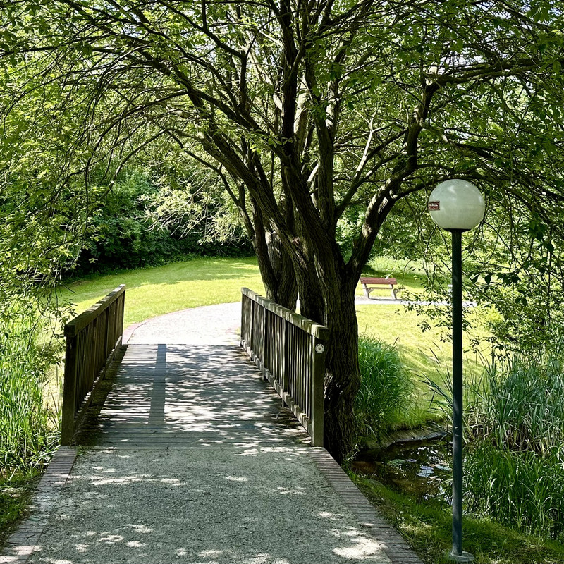 Brücke über den Froschteichen mit Bäumen