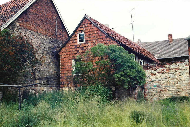 Garten mit Blick auf die Rückseite eines Hauses