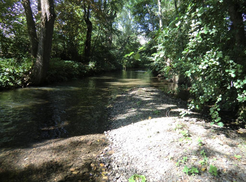 Blick auf den Fluss