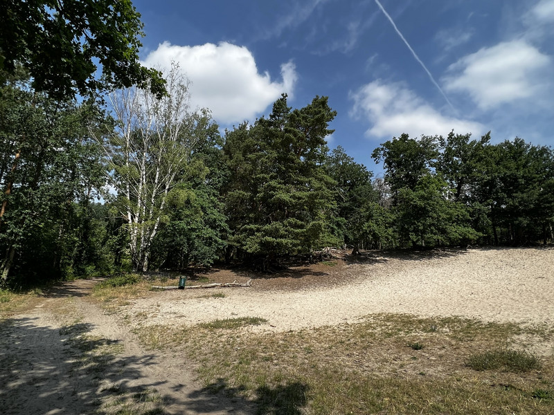 Sandgraben Heidesee