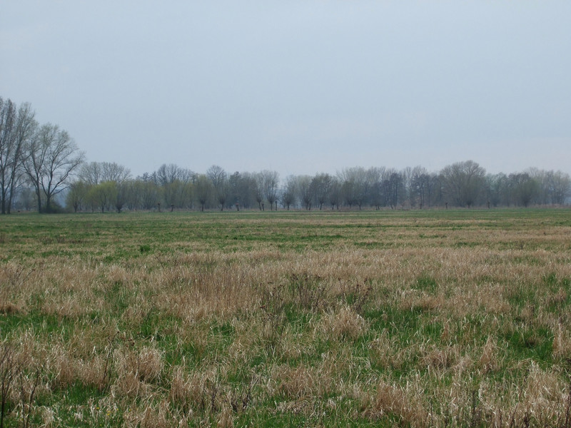 Ansicht NSG "Hopptal"