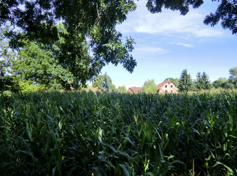 Blick auf das Mühlengehöft