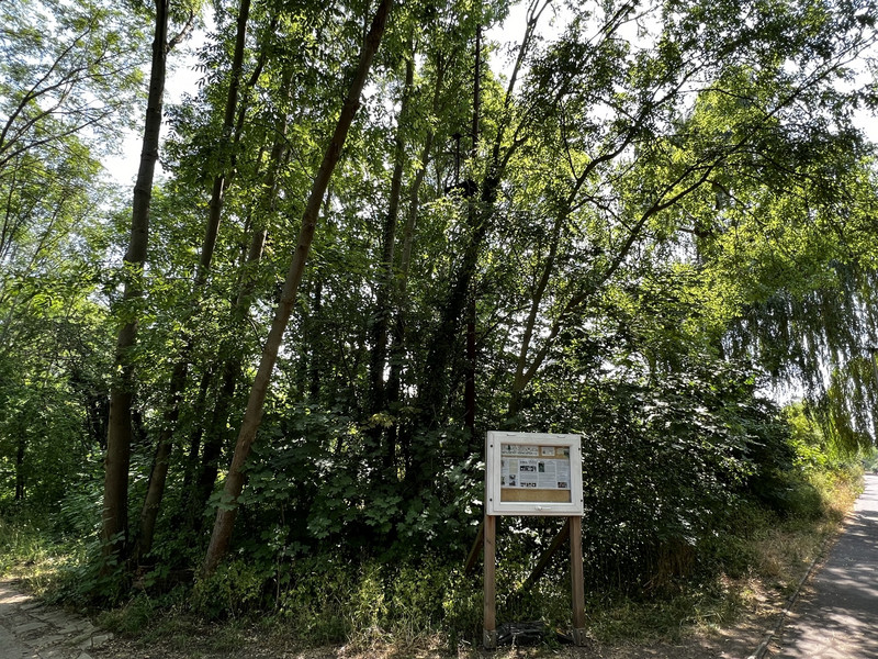 Infotafel Heidesee