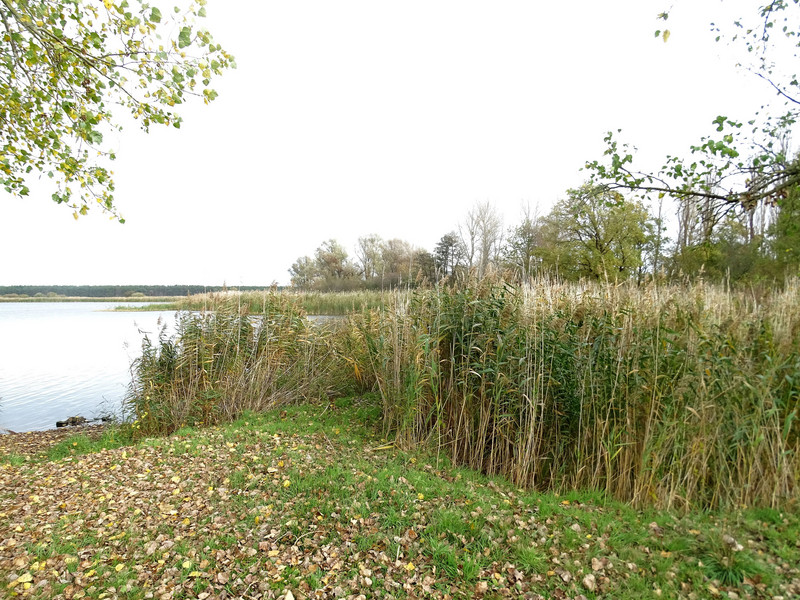 NSG "Neolith-Teich"