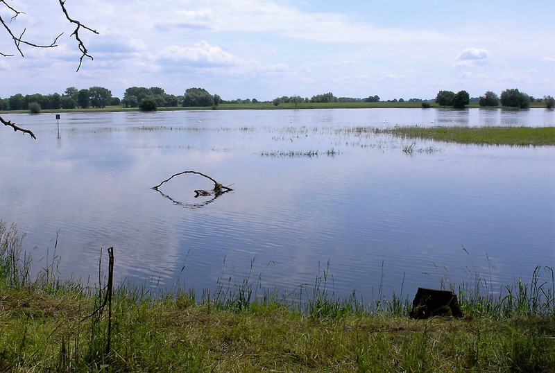 Aland-Elbe-Niederung
