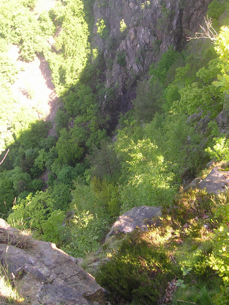 NSG "Herrenberg und Vorberg im Huy"
